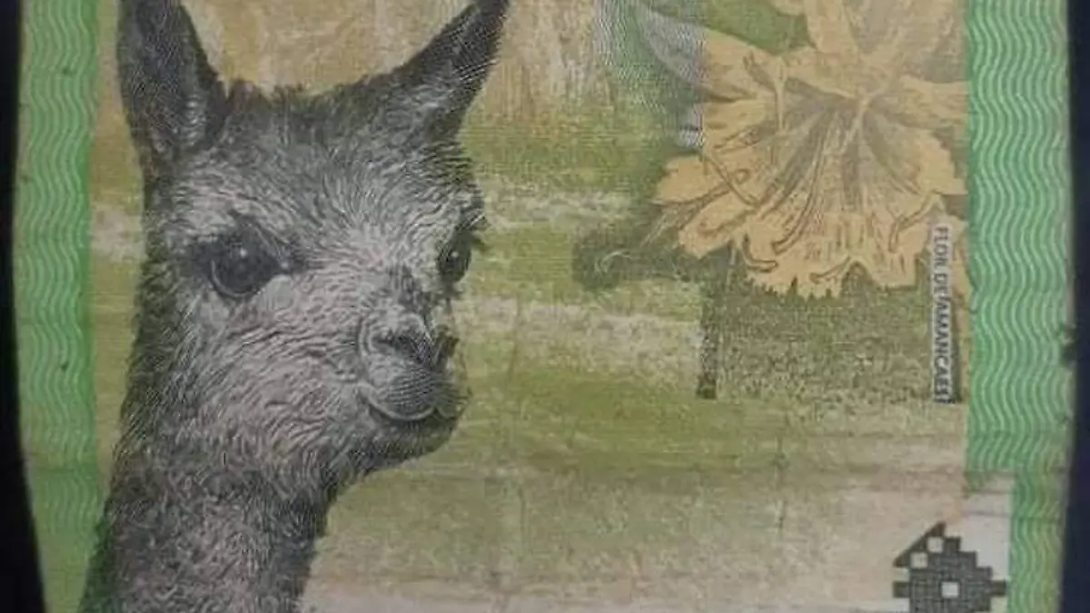 Uno de los billetes de este país tiene una llama